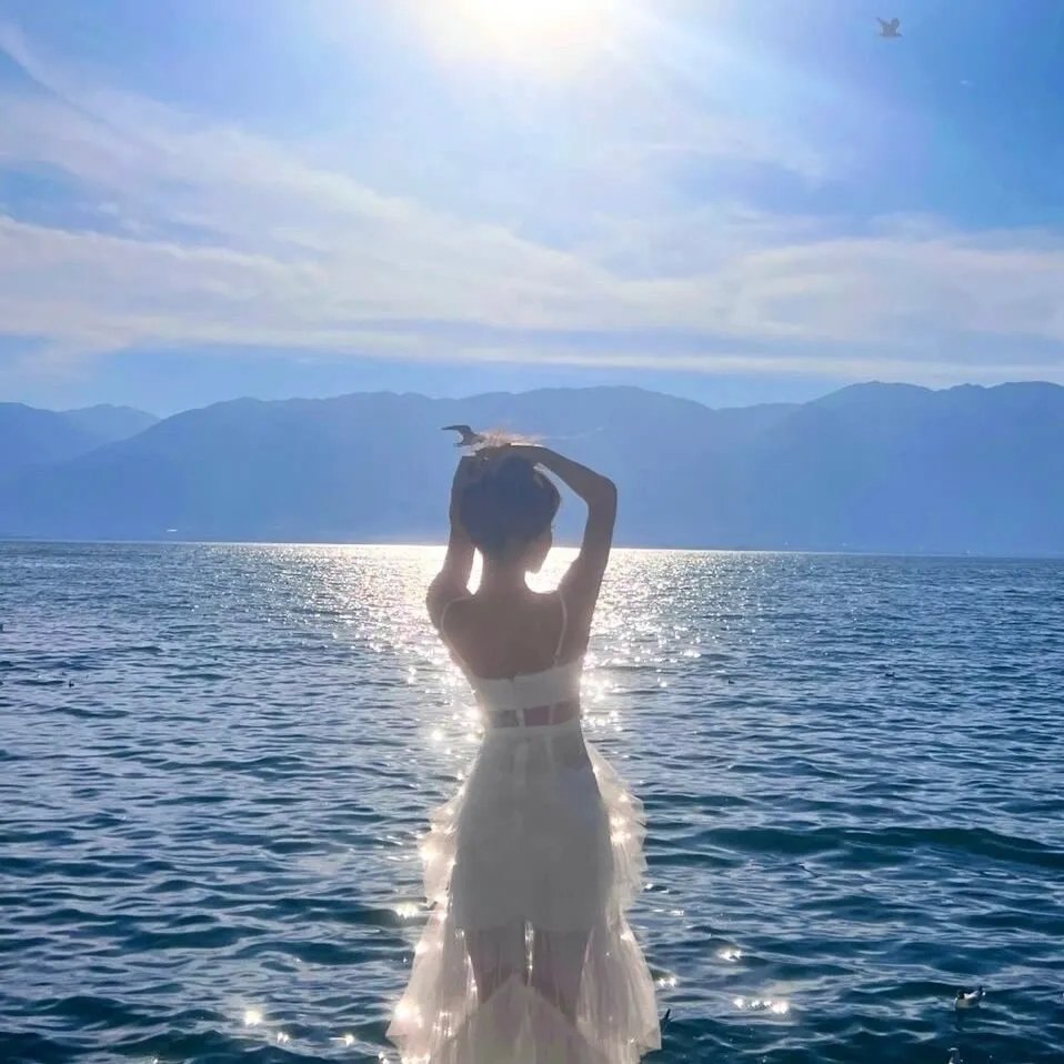 苏珊夫人寻婚计